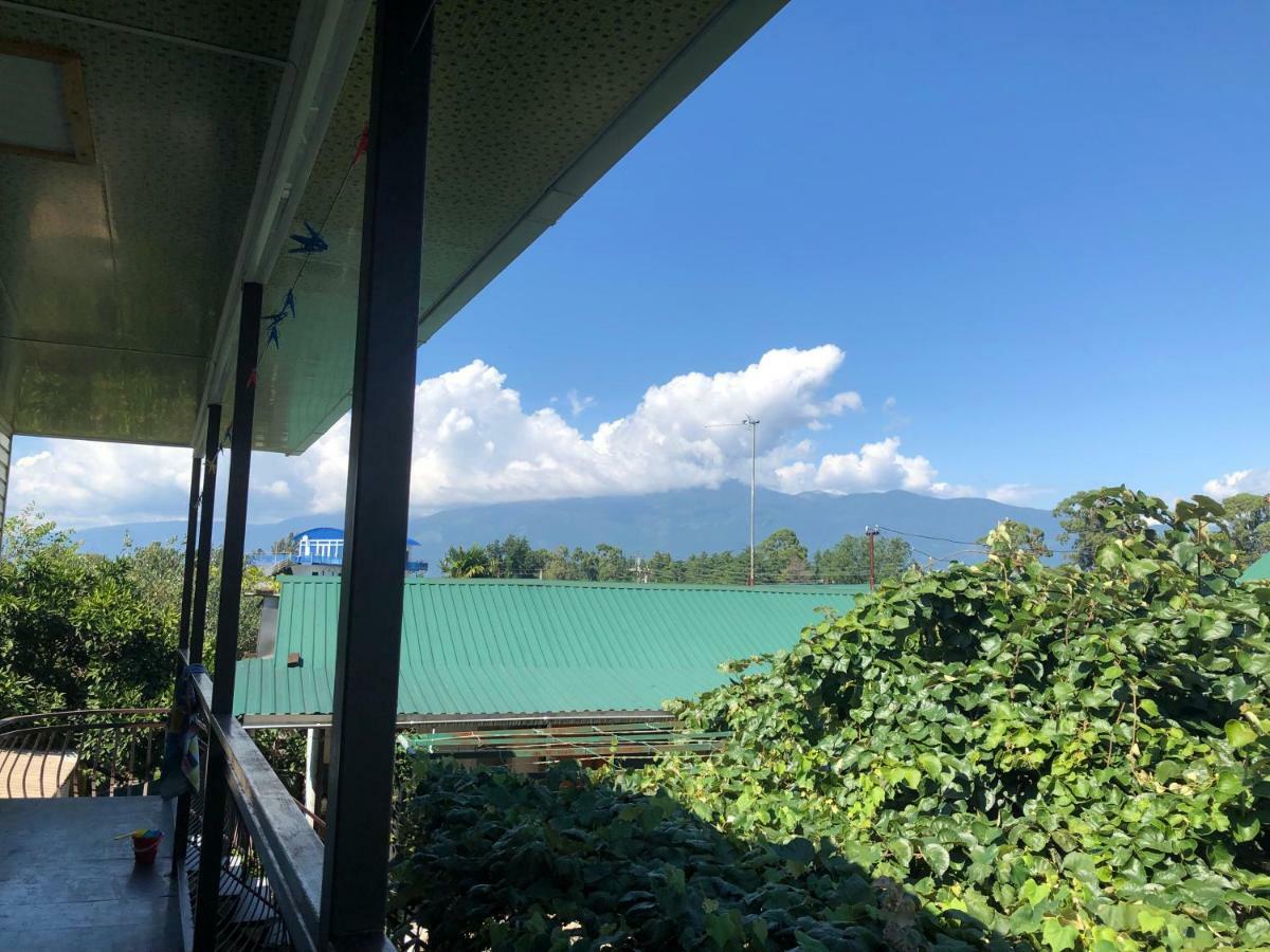 Kiwi Hotel Pizunda Bagian luar foto